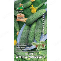 Огурец Шустрец-молодец Поиск Ц