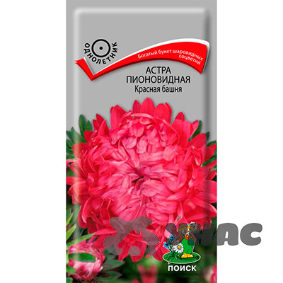 Астра Красная башня Поиск Ц