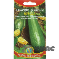 Кабачок Цубода цуккини Плазма Ц