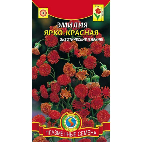 Эмилия Ярко-красная Плазма Ц