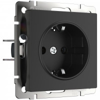 Werkel мех. роз. СУ 1 мест. 16A земля шторки (черный матовый)  ( a029863)W1171108 a051622