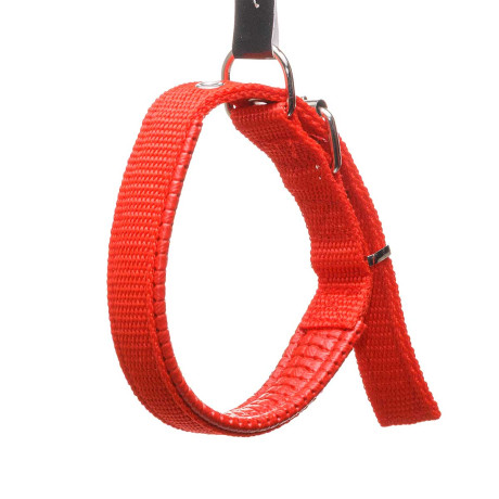 Ошейник 45*2 см брезент с акрил пен МИКС NA2626 (480)