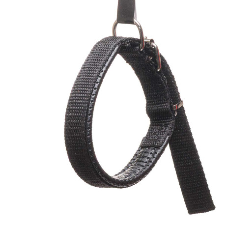 Ошейник 45*2 см брезент с акрил пен МИКС NA2626 (480)