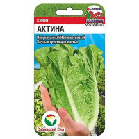 Салат Актина СибСад Ц