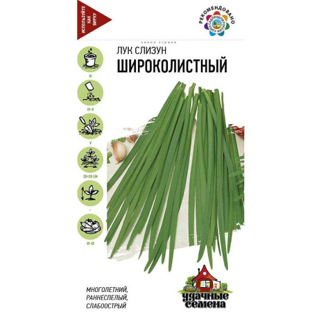 Лук слизун Широколистный Удачные Семена Гавриш Ц