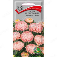 Астра Абрикосовая Башня пионовид Поиск Ц