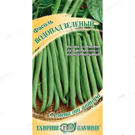 Фасоль Водопад зеленый Гавриш Ц