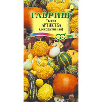 Тыква декоративная Артистка Гавриш Ц