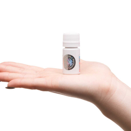 ПАЛАЧ от клопов, 6мл. (цена за 5 шт)