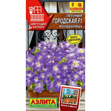 Петуния Городская волшебница Аэлита Ц