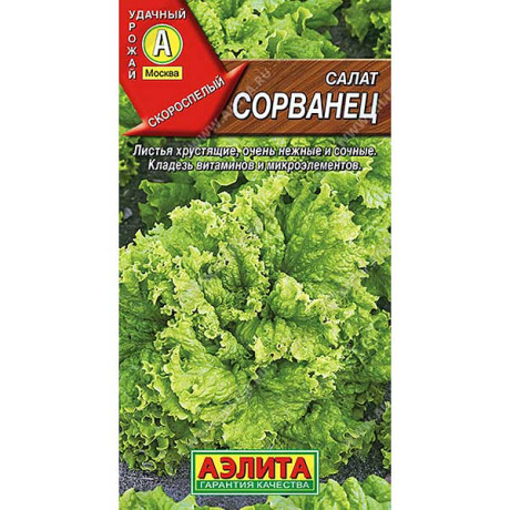 Салат Сорванец листовой Аэлита Ц