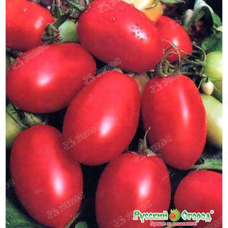 Семена Томат Земляк Русский Огород