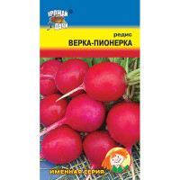 Редис Верка-Пионерка Урожай у дачи Ц