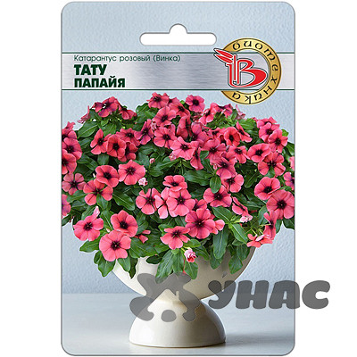 Катарантус Тату Папайя Биотехника Ц