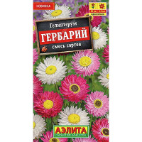 Гелиптерум Гербарий Аэлита Ц