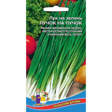 Лук на зелень Лучок на пучок Марс Ц