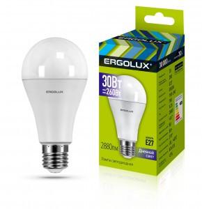 Ergolux ЛОН A70 E27 30W(2880lm 270°) 6500K 6K матовая 135x67 пластик/алюм. LED-A70-30W-E27-6K