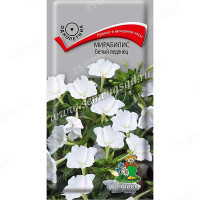 Мирабилис Белый леденец Поиск Ц