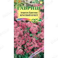 Агератум Красный букет Гавриш Ц