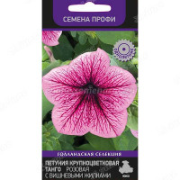 Петуния Танго пурпурная Поиск Ц