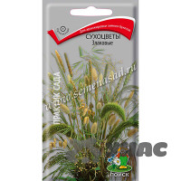 Сухоцветы Злаковые Поиск Ц х10