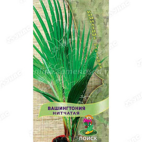 КОМ Вашингтония Нитчатая Поиск Ц