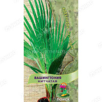 КОМ Вашингтония Нитчатая Поиск Ц