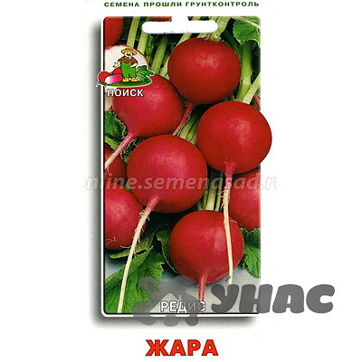 Редис Жара Поиск Ц