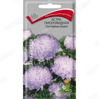 Астра Серебрянная башня Поиск Ц