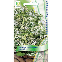 Семена Гипоэстес Мрамор Белый Поиск Ц х20