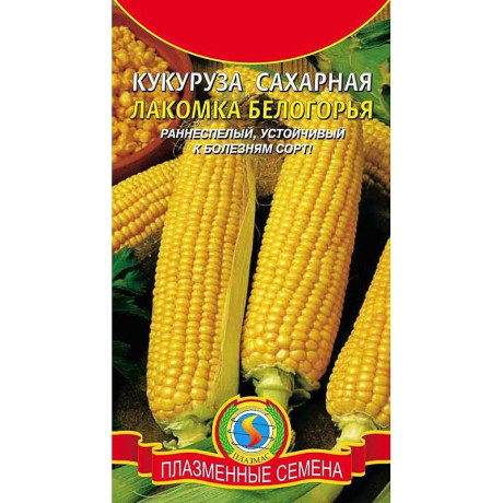 Кукуруза Лакомка Белогорья сахарн. Плазма Ц