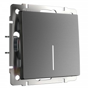 Werkel мех. выкл. СУ 1 кл. 10А,проходной  (инд.) (графит матовый) W1112164 a063101