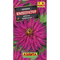 Циния Император кактусовидная Аэлита Ц