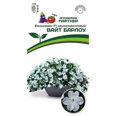 Бальзамин Уоллера Вайт Барлоу Партнер Ц