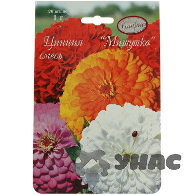 К Циния Мишутка смесь Каприс