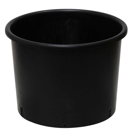 Контейнер 35х28 (25л) твердый АМИНА