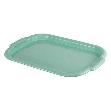 Поднос универ. большой 33х49см Фисташк М1111(55)