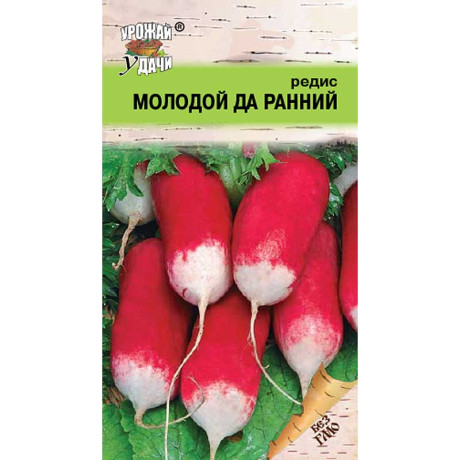 Редис Молодой-да-Ранний Урожай у дачи Ц