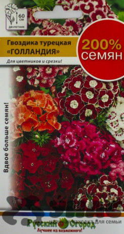 Гвоздика Турецкая Голландия смесь НК Ц