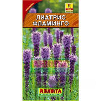 Лиатрис Фламинго колосковая Аэлита Ц