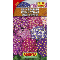 КОМ Цинерария смесь Аэлита Ц