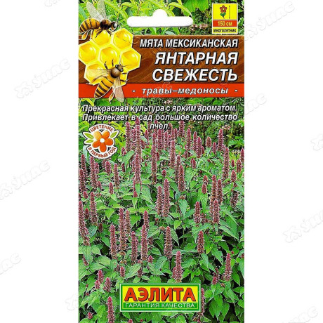 Мята мексиканская Янтарная свежесть Аэлита Ц
