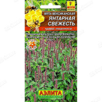 Мята мексиканская Янтарная свежесть Аэлита Ц