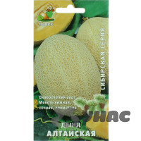 Дыня Алтайская Поиск Ц