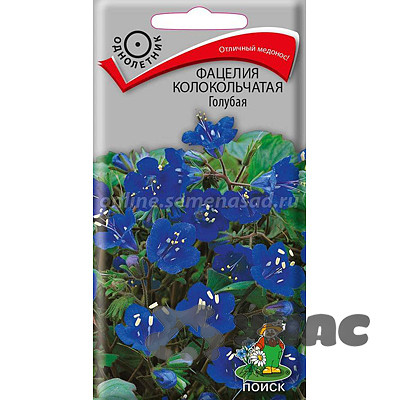 Фацелия Голубая колокольчатая Поиск Ц х10