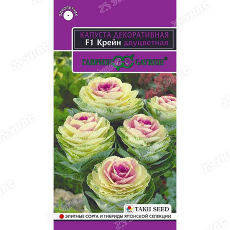 Капуста декор. Крейн двухцветная Гавриш Ц