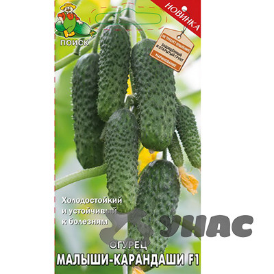 Огурец Малыши-карандаши Поиск Ц