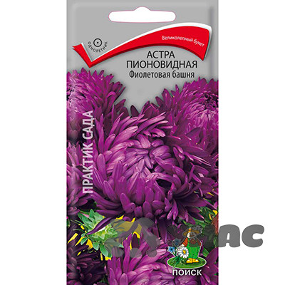 Астра Фиолетовая башня Поиск Ц