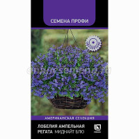 Лобелия Регата Миднайт Блю Поиск Ц