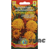 Бархатцы Тигровые глаза Плазма Ц